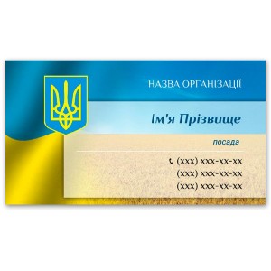 Візитки 100 шт Держслужбовця #1